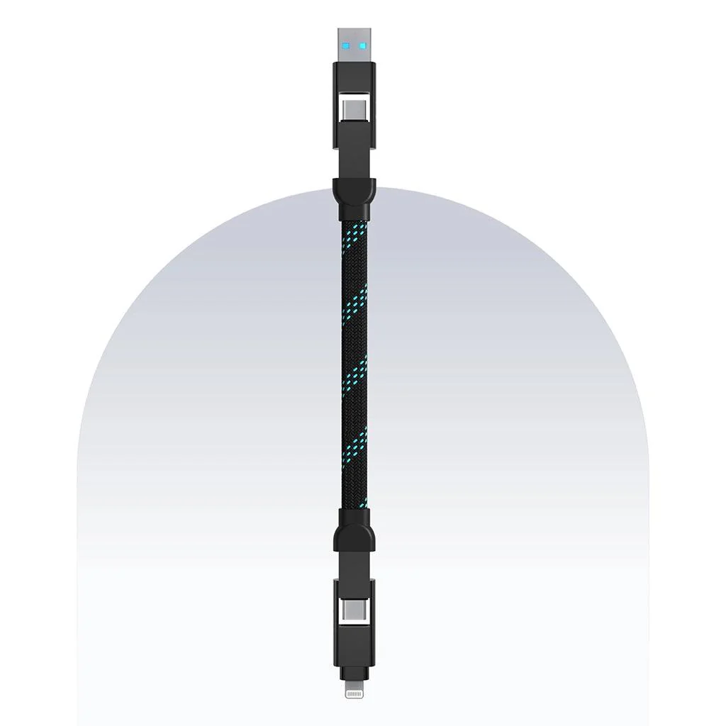 100W 4in1 Quad Cable 4ft - Image 5