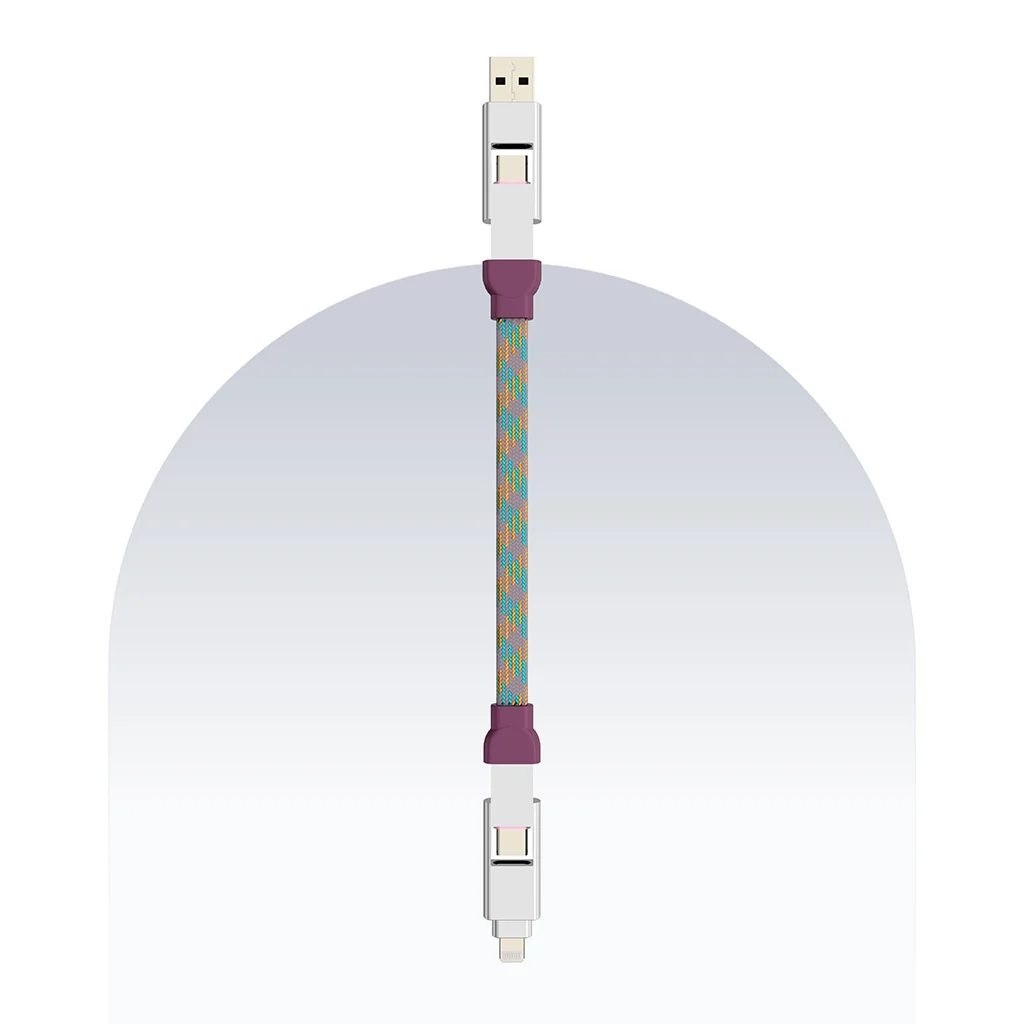 4 in 1 65W Payal Singhal Edition Cable 1 Ft - Image 10