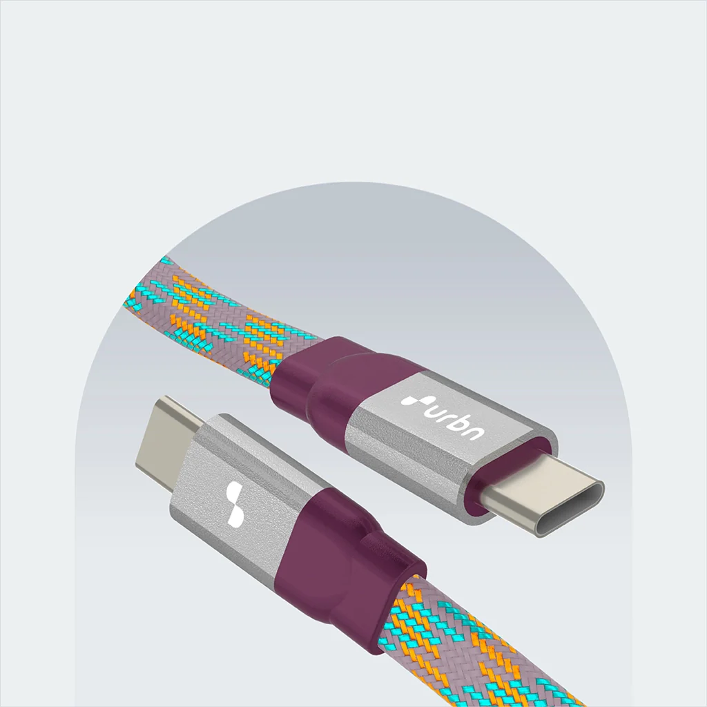 Type C to Type C 65W Payal Singhal Edition Cable - Image 5