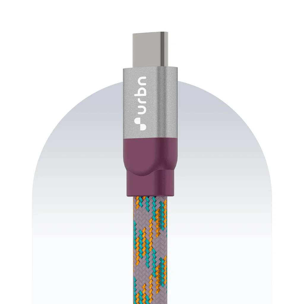 Type C to Type C 65W Payal Singhal Edition Cable - Image 6